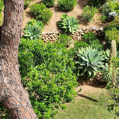 Elena Flat Lovely Paradise Above The Sea Sitio de Calahonda Екстер'єр фото