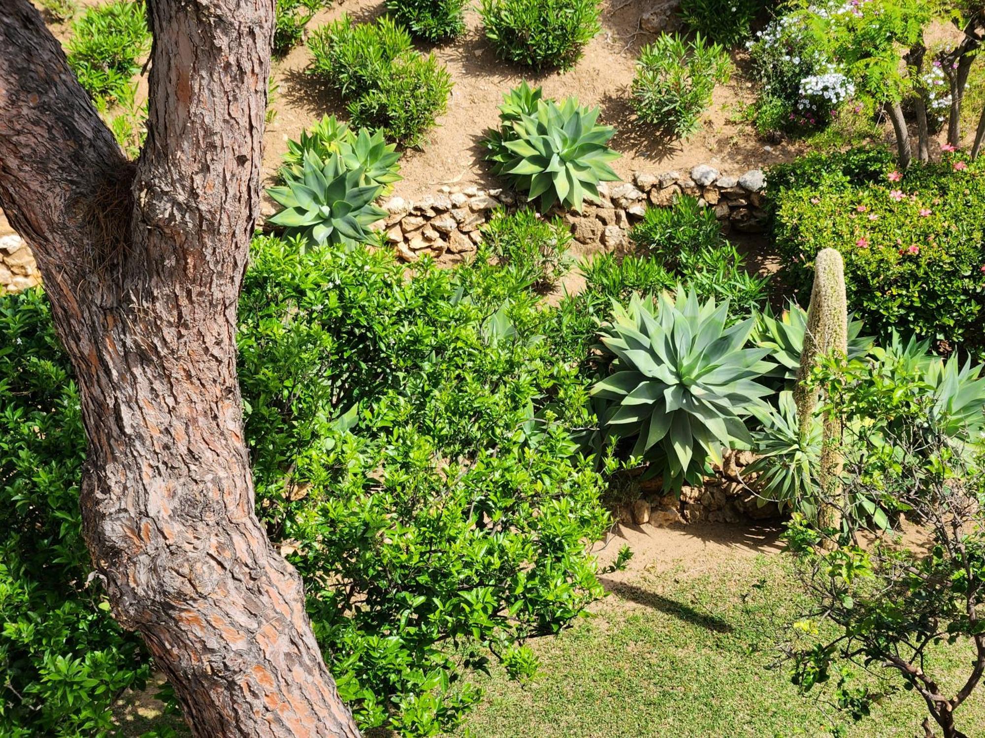 Elena Flat Lovely Paradise Above The Sea Sitio de Calahonda Екстер'єр фото